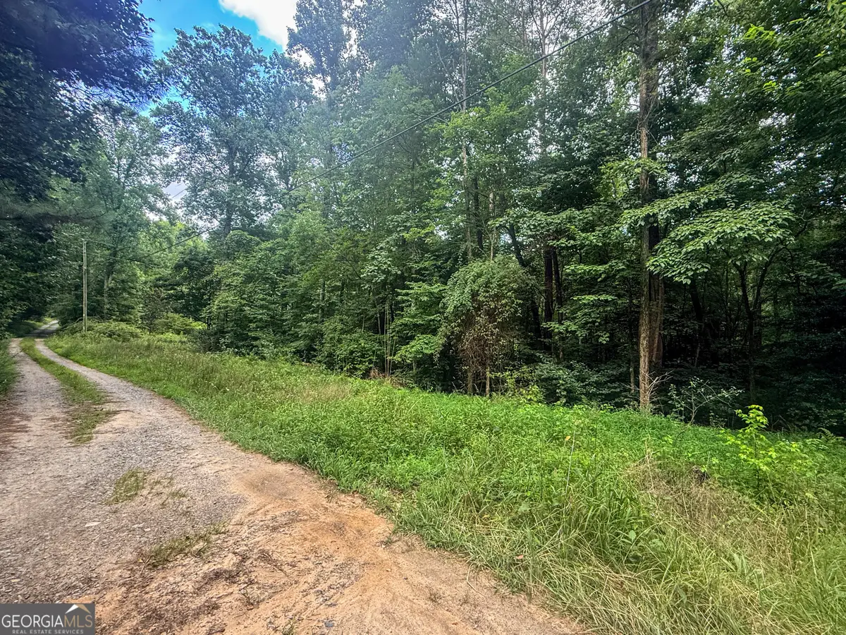 0 Jesses Run, Ellijay, GA 30536 - #1