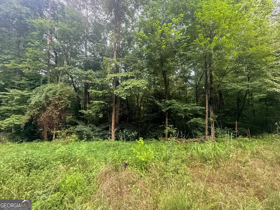 0 Jesses Run, Ellijay, GA 30536 - #2