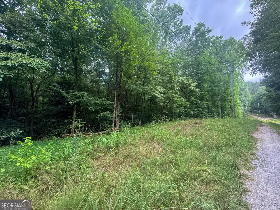 0 Jesses Run, Ellijay, GA 30536 - #3