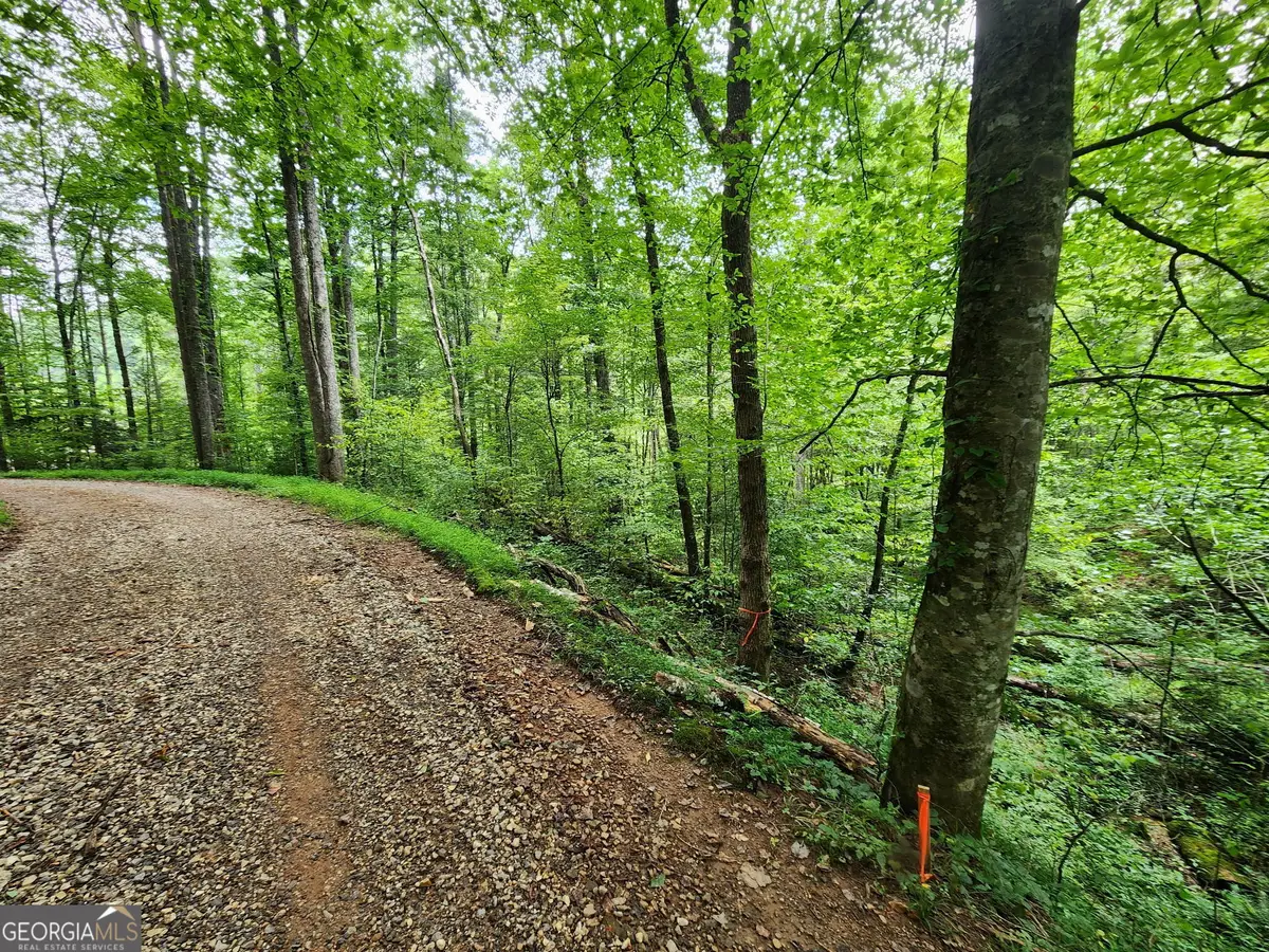 TRACT 2A Poplar Cove Trail, Suches, GA 30572 - #1