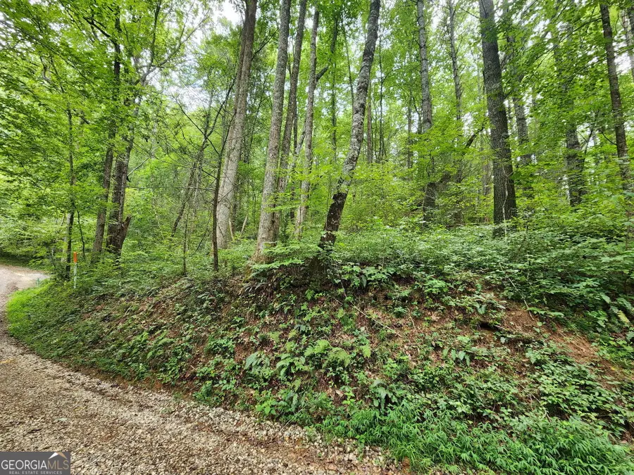TRACT 2A Poplar Cove Trail, Suches, GA 30572 - #2