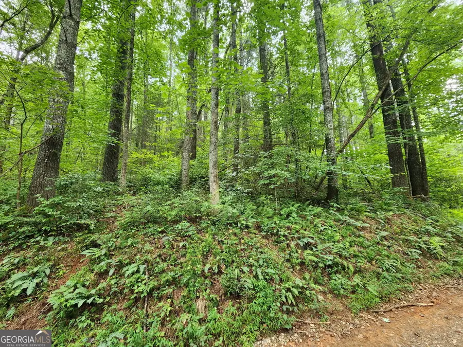 TRACT 2A Poplar Cove Trail, Suches, GA 30572 - #3