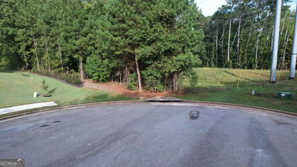 3045 Wood Valley Court, Loganville, GA 30052 - #1