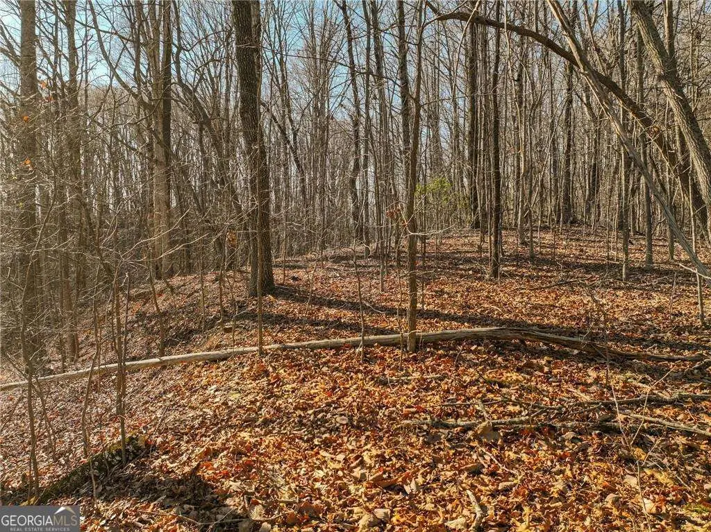 LOT 5 Mount Mincie Road, Murrayville, GA 30564 - #1