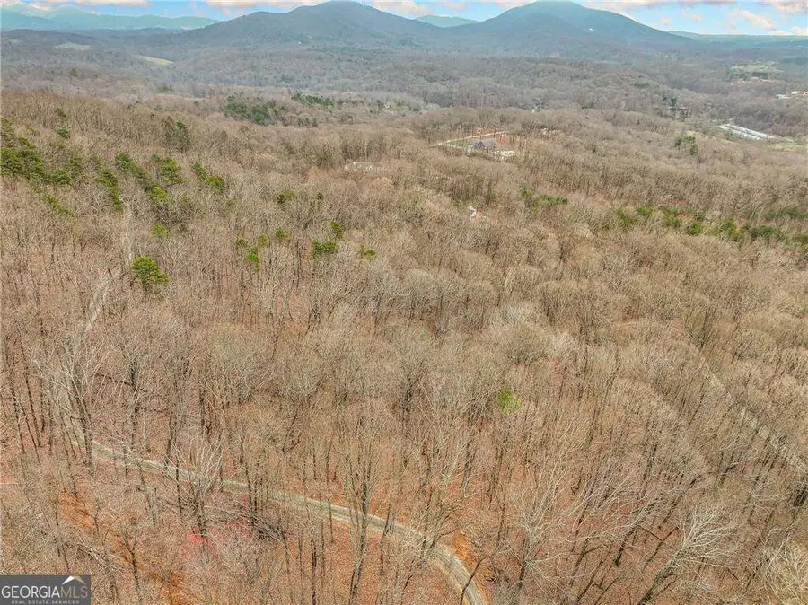 LOT 6 Mount Mincie Road, Murrayville, GA 30564 - #3
