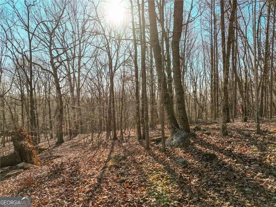LOT 11 Mount Mincie Road, Murrayville, GA 30564 - #2