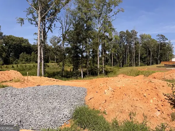 264 Sage Woods Way, Dallas, GA 30132