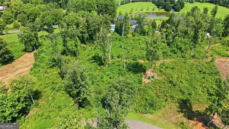 17 Mystic Drive, Ellijay, GA 30540 - #1