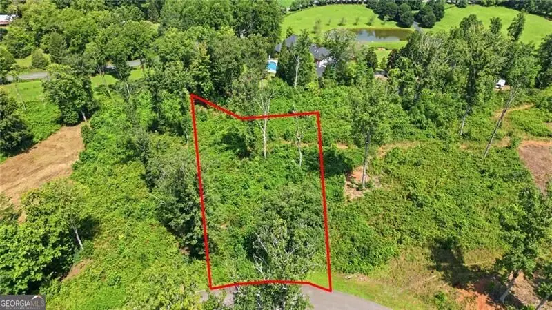 17 Mystic Drive, Ellijay, GA 30540 - #2