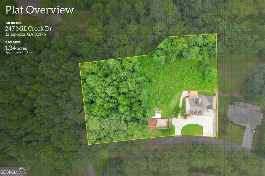 247 Mill Creek Drive, Tallapoosa, GA 30176 - #2