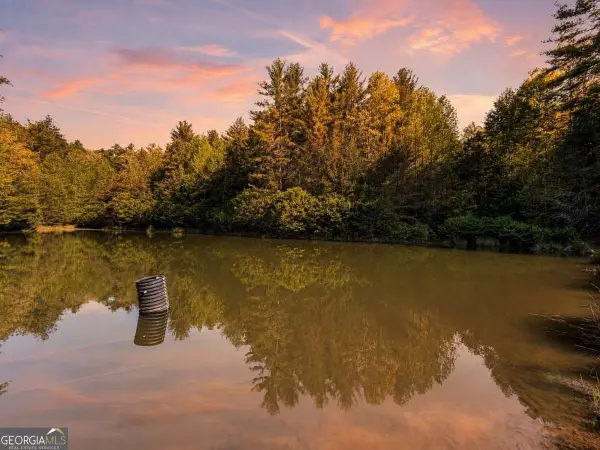 40 AC #1 Valley Lake Road #MULTIPLE, Mineral Bluff, GA 30559