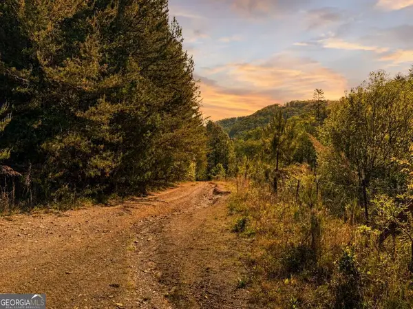 40 AC #2 Valley Lake Road #MULTIPLE, Mineral Bluff, GA 30559