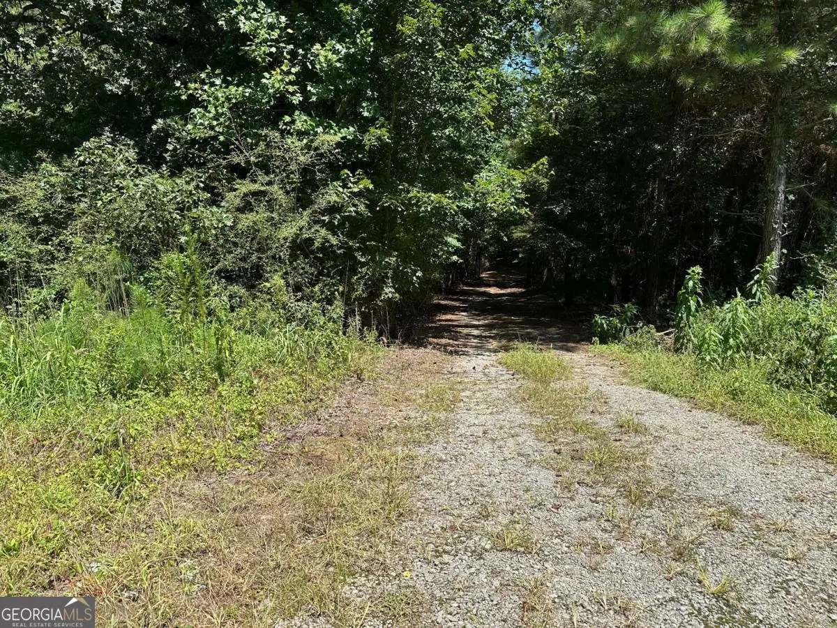 305 Wildcat Road, Buchanan, GA 30113 - #1