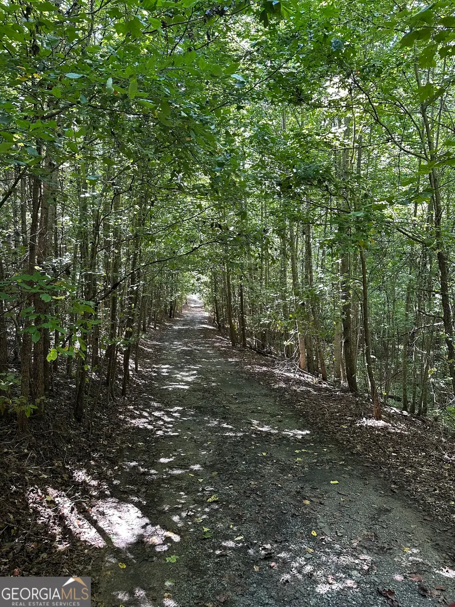 305 Wildcat Road, Buchanan, GA 30113 - #2