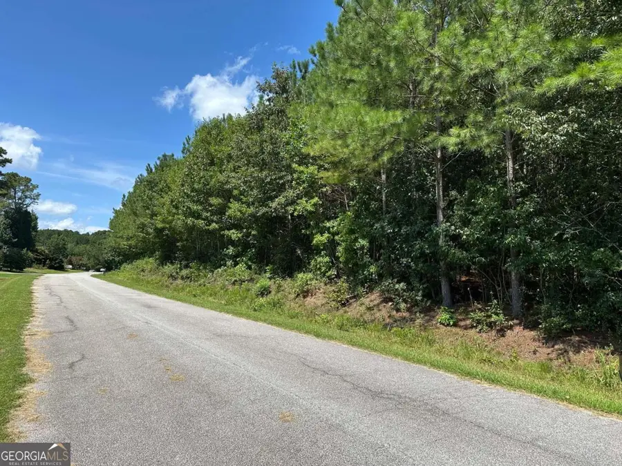 305 Wildcat Road, Buchanan, GA 30113 - #3
