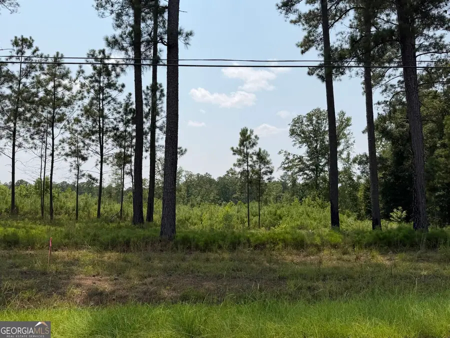 1130 Giles Road, Forsyth, GA 31029 - #2