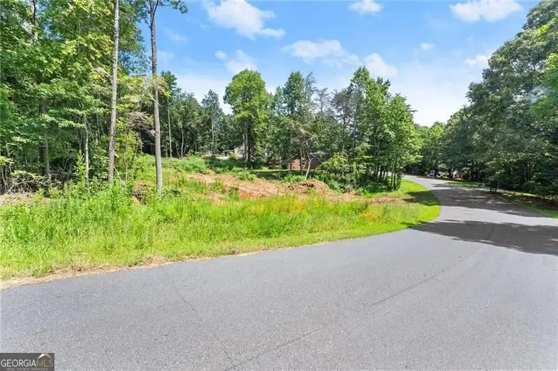 8690 Bayhill Drive, Gainesville, GA 30506 - #1