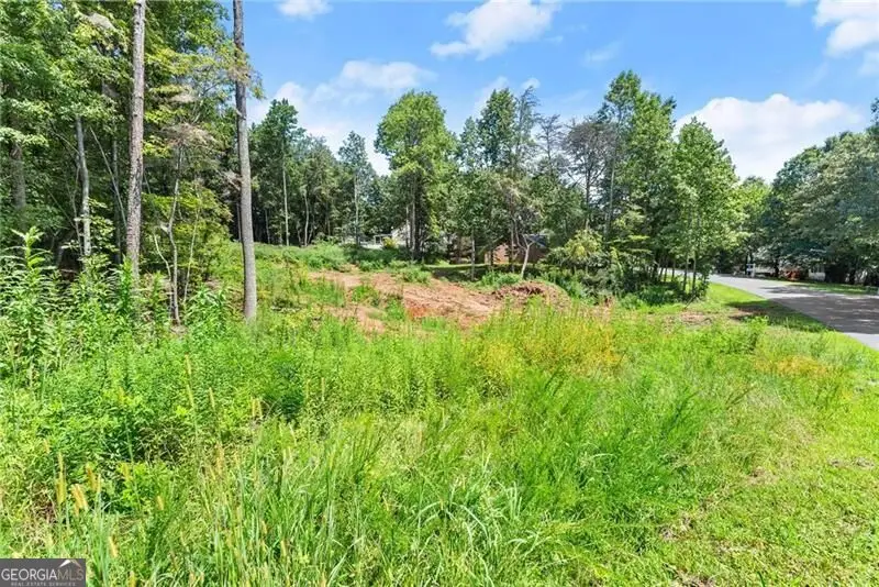8690 Bayhill Drive, Gainesville, GA 30506 - #2