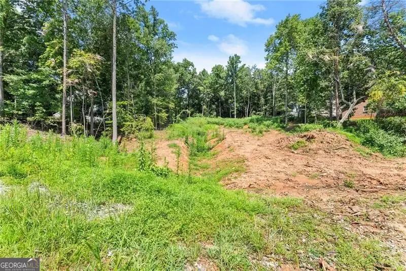 8690 Bayhill Drive, Gainesville, GA 30506 - #3