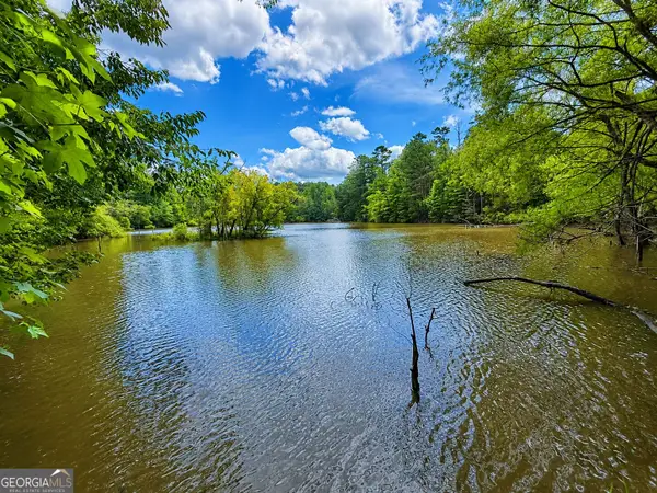 285 ACRES River Road, Fortson, GA 31808