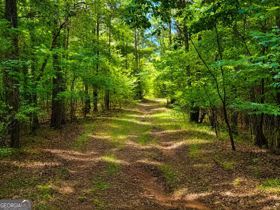 285 ACRES River Road, Fortson, GA 31808 - #3
