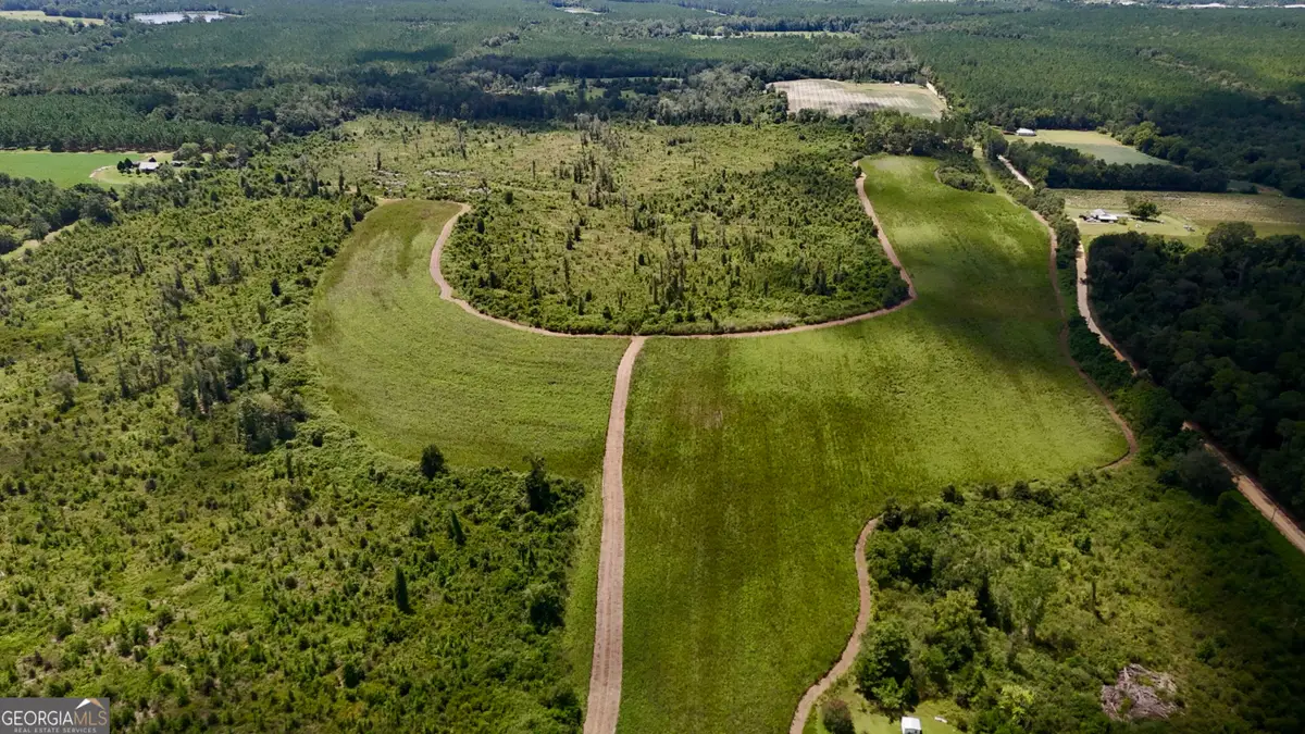 6186 Harvey Road, Abbeville, GA 31001 - #1