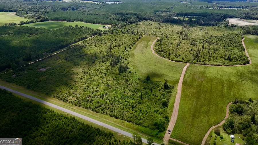 6186 Harvey Road, Abbeville, GA 31001 - #2