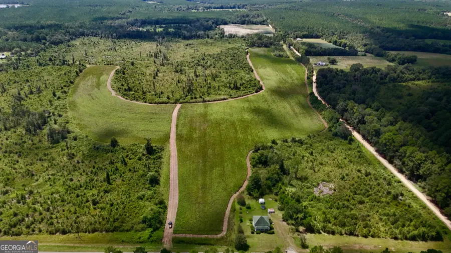 6186 Harvey Road, Abbeville, GA 31001 - #3