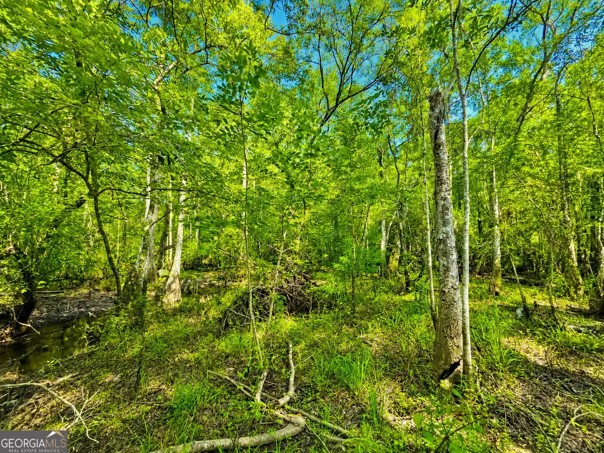 0 Herrin Lake, Nahunta, GA 31553 - #1