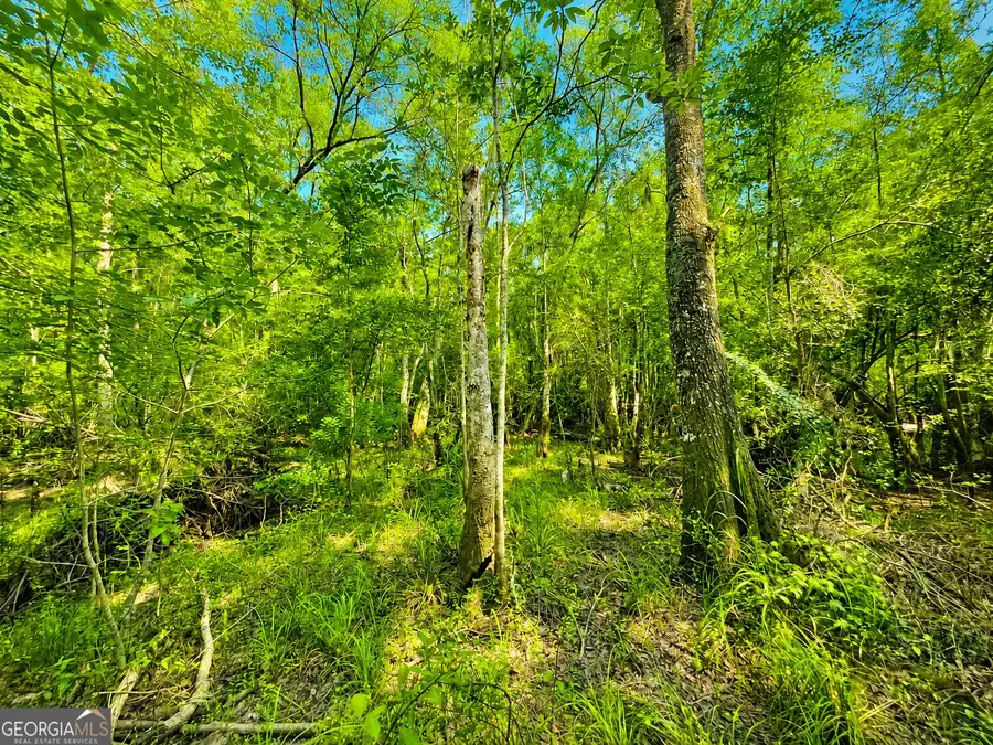 0 Herrin Lake, Nahunta, GA 31553 - #2