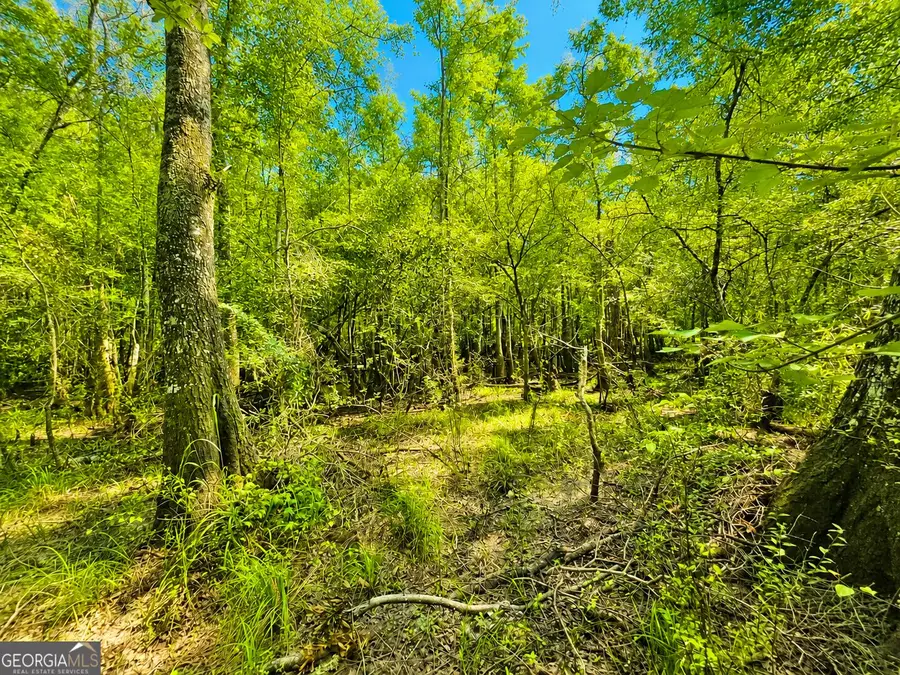 0 Herrin Lake, Nahunta, GA 31553 - #3
