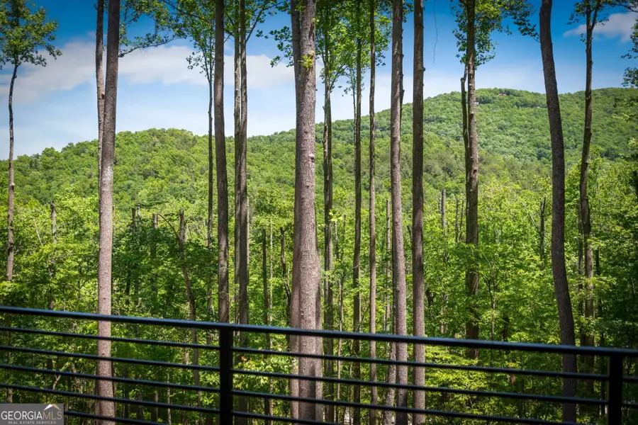 172 Grand Oaks Trail, Morganton, GA 30560 - #3