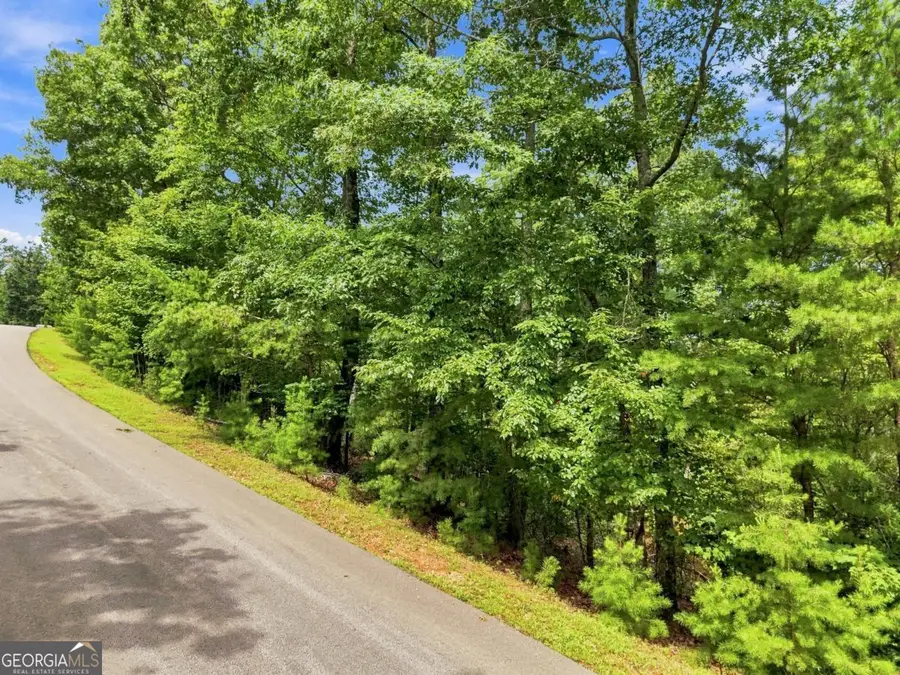 0 Deer Crest Road #22, Blue Ridge, GA 30513 - #3