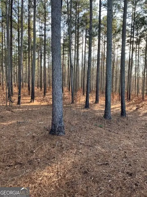 280 Woodville Philomath Road, Rayle, GA 30660 - #1