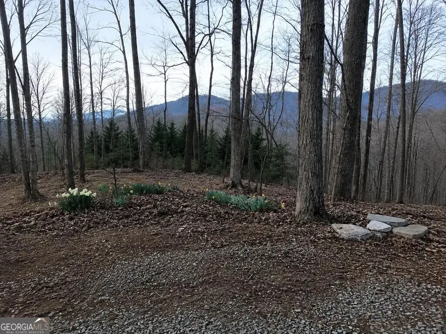 681 Skyview Drive, Ellijay, GA 30536 - #2