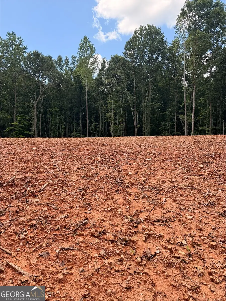 1270 Cunningham Road, Greensboro, GA 30642 - #3