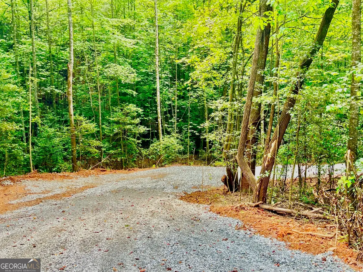 TRACK 2 Afton Road, Dawsonville, GA 30534 - #1