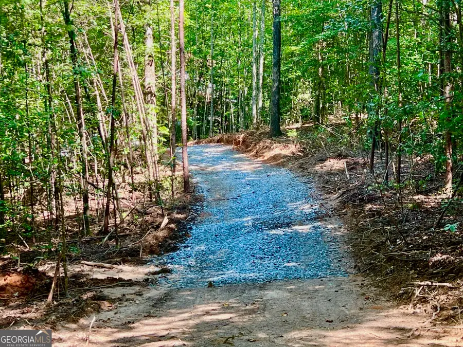 TRACK 2 Afton Road, Dawsonville, GA 30534 - #3