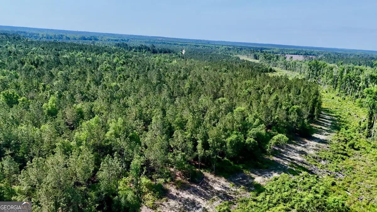 TRACT 3 Tillman Cemetery Road, Lumber City, GA 31549 - #1