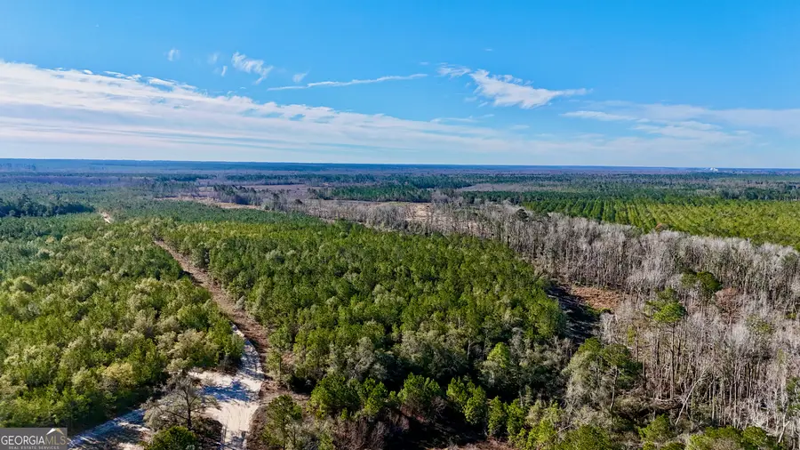 TRACT 3 Tillman Cemetery Road, Lumber City, GA 31549 - #3
