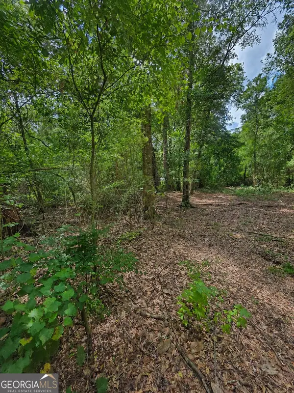 0 Second Avenue, Waynesville, GA 31566