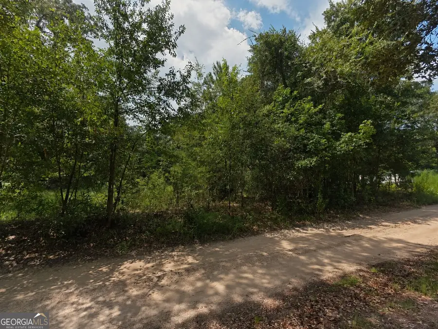 0 Second Avenue, Waynesville, GA 31566 - #2