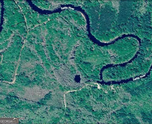 75+/- ACRES Lewis Landing, Nahunta, GA 31553