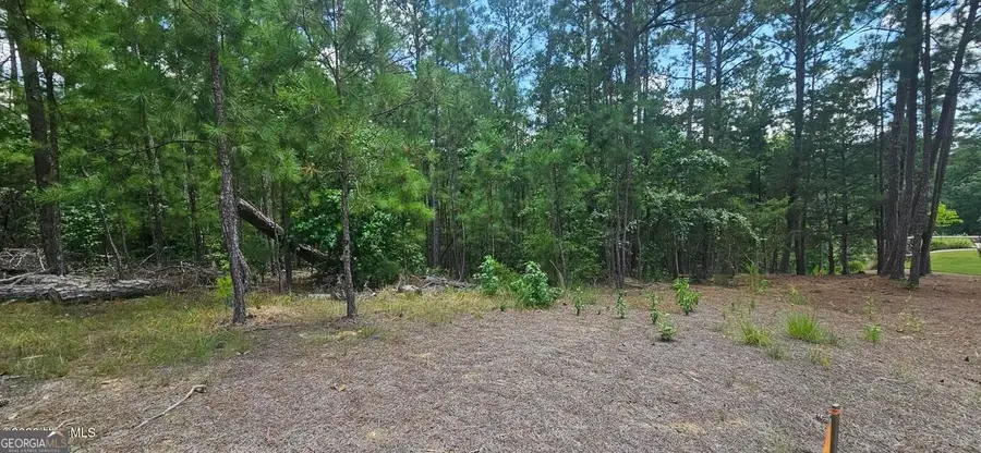 LOT 2 Amelia Drive, McCormick, SC 29835 - #2