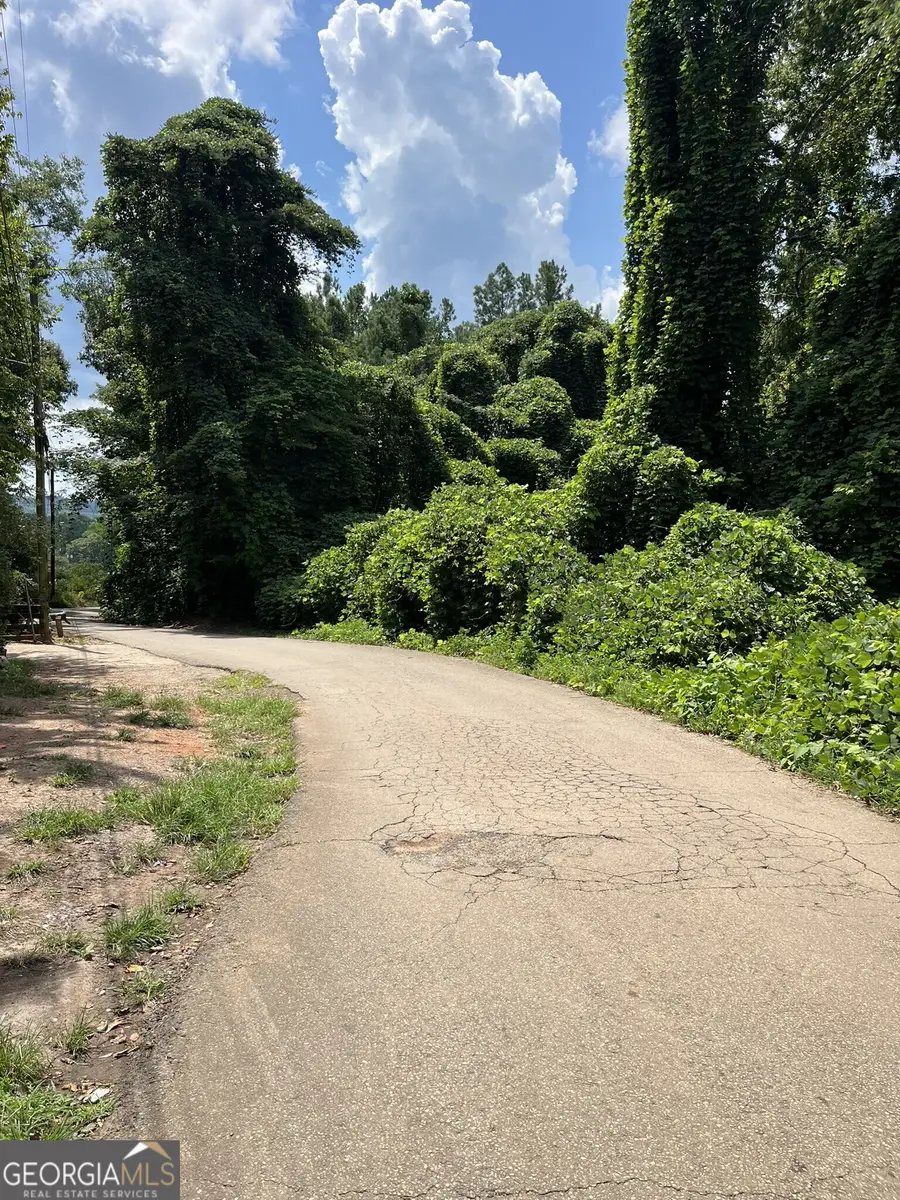 238 Canton Street, Canton, GA 30114 - #2