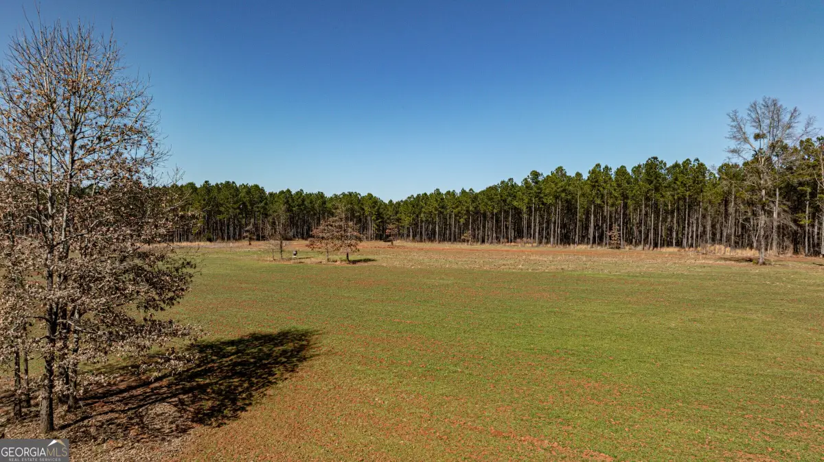T1 Old Zebulon Road, Forsyth, GA 31029 - #1