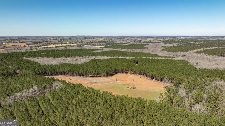T1 Old Zebulon Road, Forsyth, GA 31029 - #2