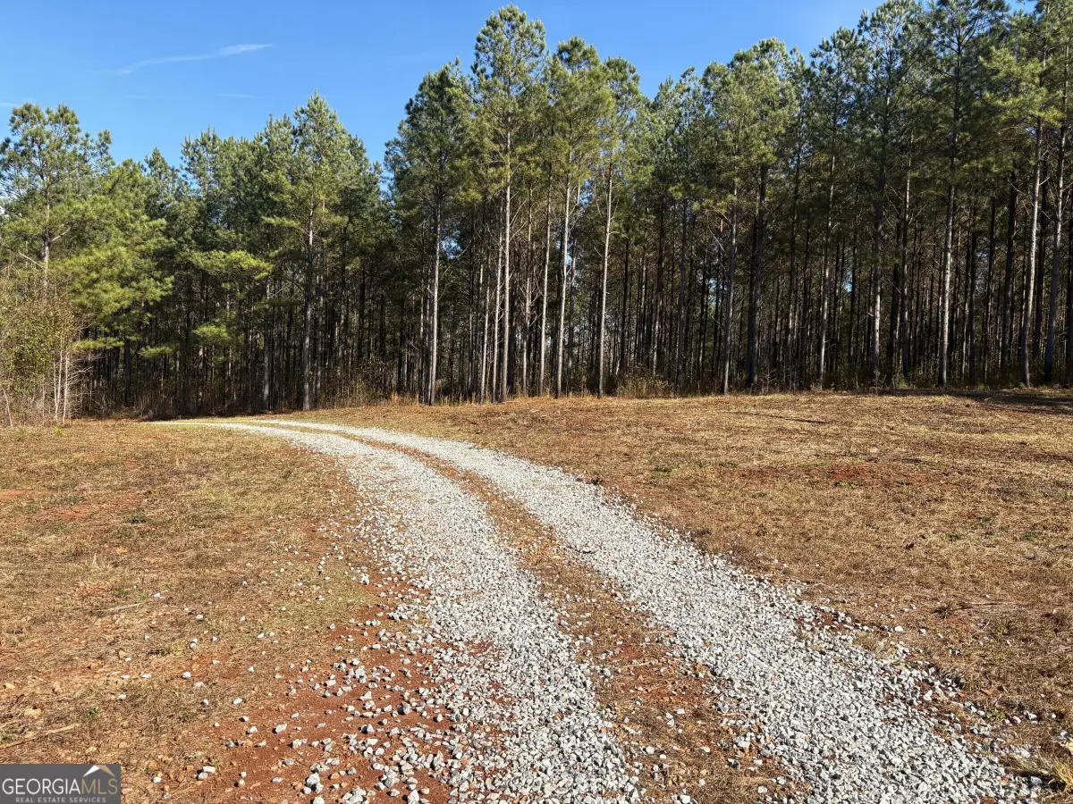 T2 Old Zebulon Road, Forsyth, GA 31029 - #1