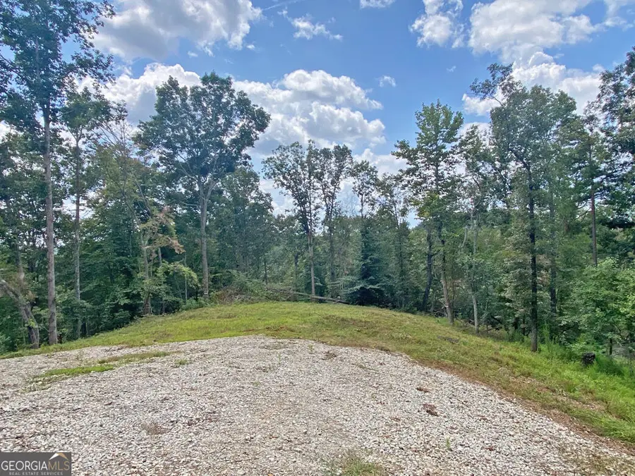 3.3AC Trillium Trail, Dahlonega, GA 30533 - #2