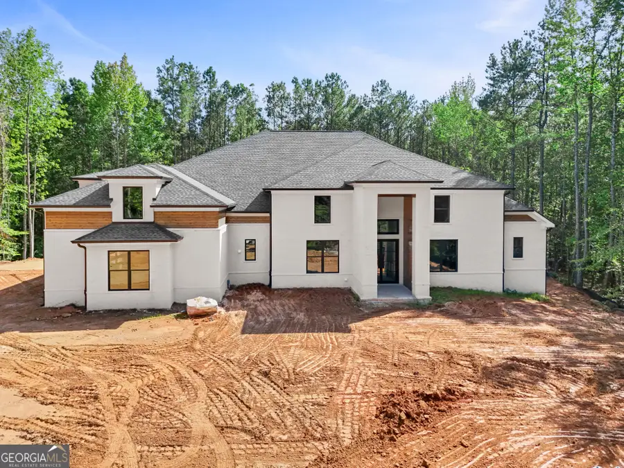 9800 Cedar Grove Road, Chattahoochee Hills, GA 30213 - #3